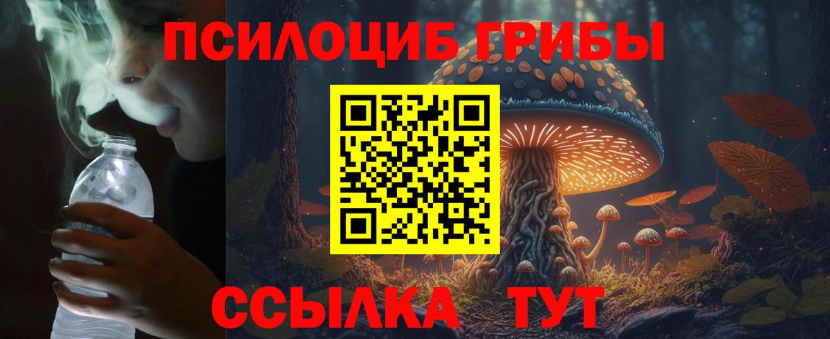 Галлюциногенные грибы MAGIC MUSHROOMS Котлас
